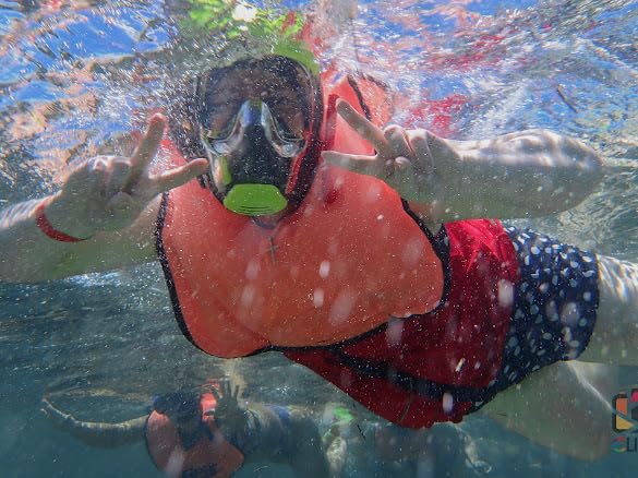 Seaview 180 V3 Full Face Snorkel Mask - Snorkeling Gear for Adults customer photo 2