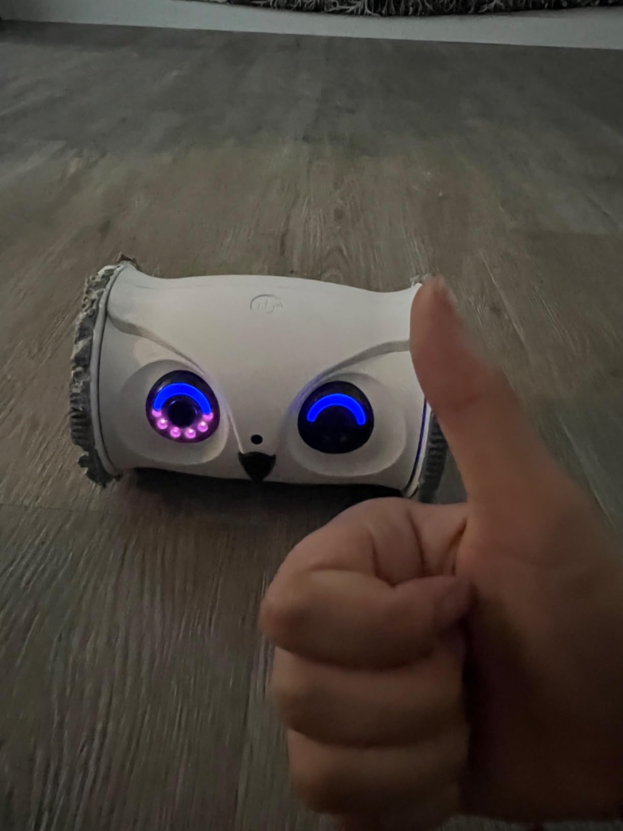 Owl Robot,Pet Camera Treat Dispenser Interactive Toy for Dogs Cats with Remote Phone App Control customer photo 1
