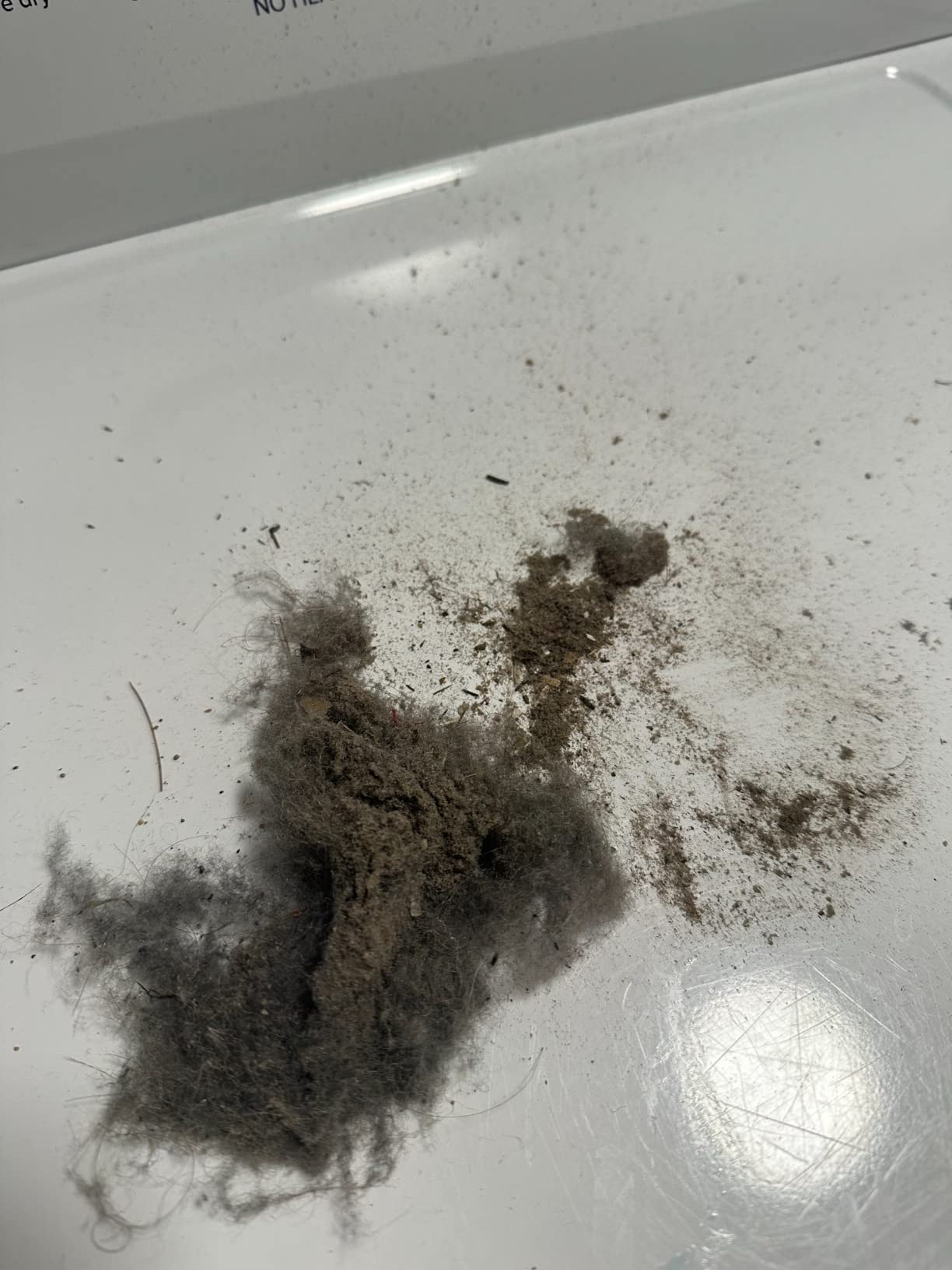 Dyson Cyclone V10 Animal Cordless Vacuum Cleaner customer photo 1