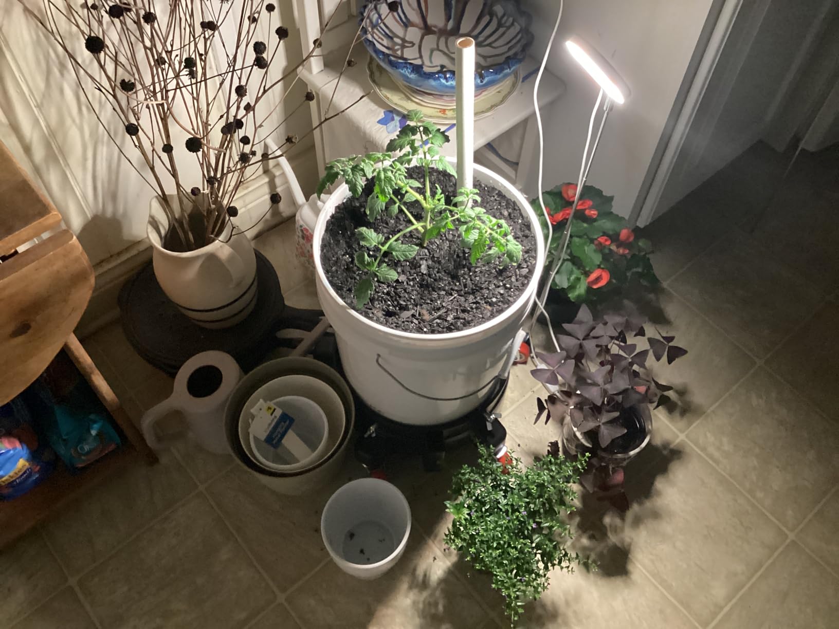 Kullsinss 3.5in Small Grow Lights for Indoor Plants, 48 LEDs Full Spectrum customer photo 2