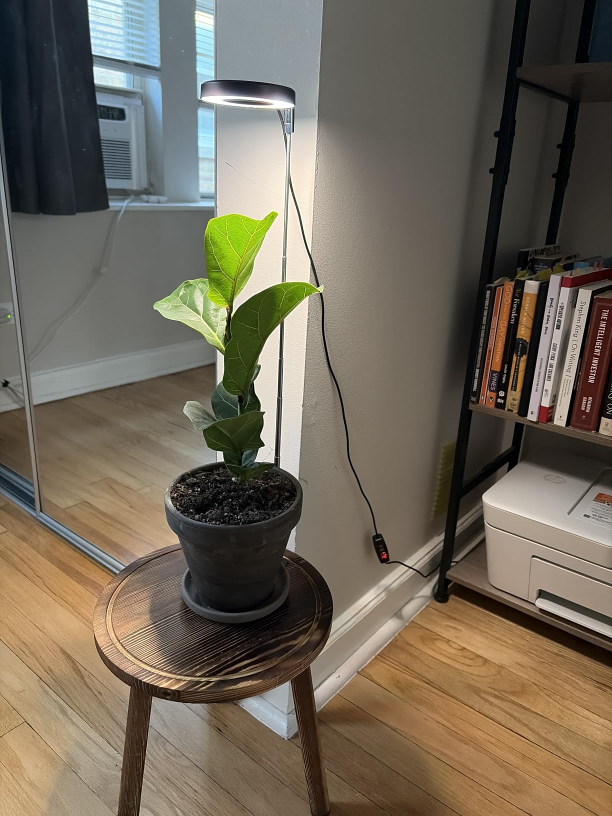 Aokrean Plant Grow Light for Indoor Plants, 3.5in Full Spectrum with Base customer photo 1