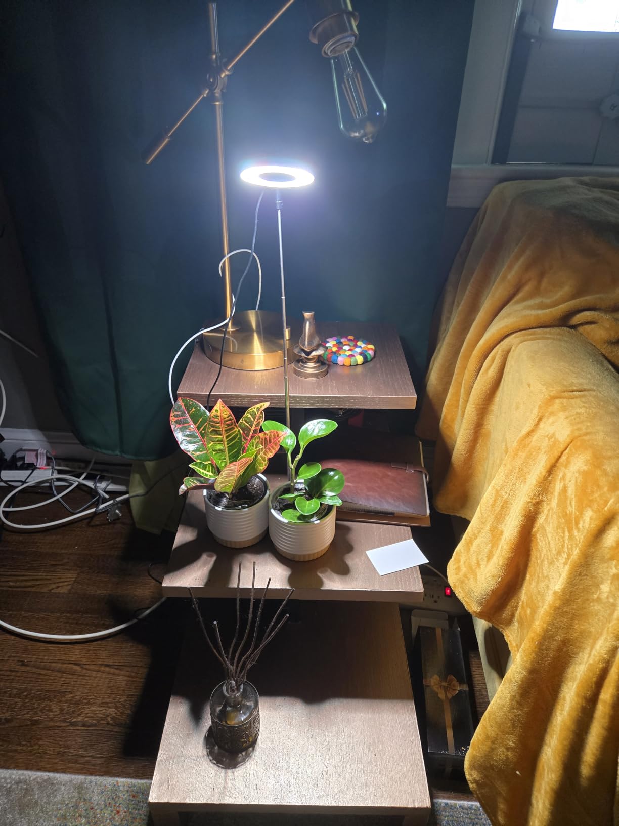 Aokrean Plant Grow Light for Indoor Plants, 3.5in Full Spectrum with Base customer photo 2