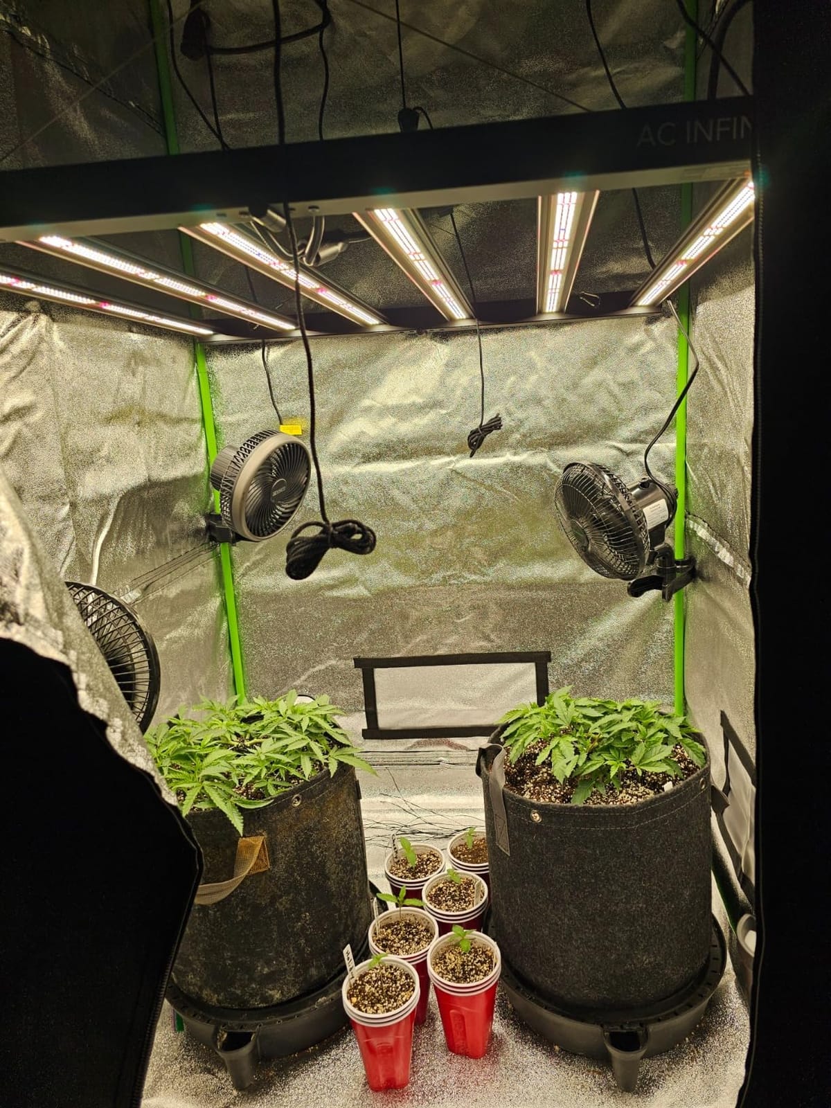 AC Infinity IONFRAME EVO6, LM301H EVO Bar LED Grow Light for 120x120cm customer photo 1