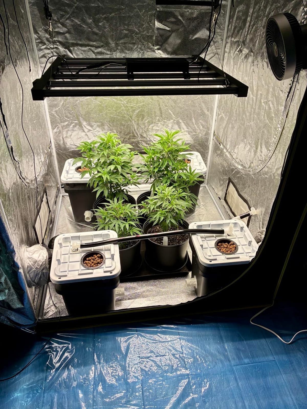 AC Infinity IONFRAME EVO6, LM301H EVO Bar LED Grow Light for 120x120cm customer photo 2