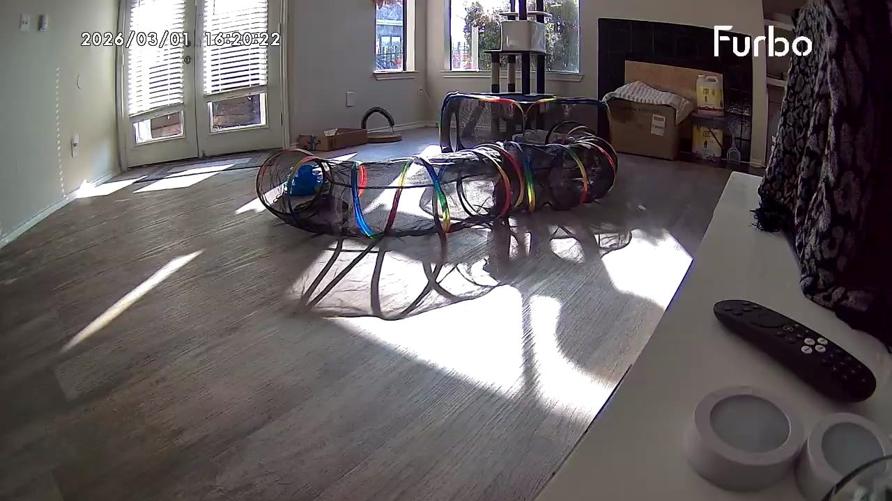 Furbo 360° Cat Camera [No Monthly Fee] customer photo 1