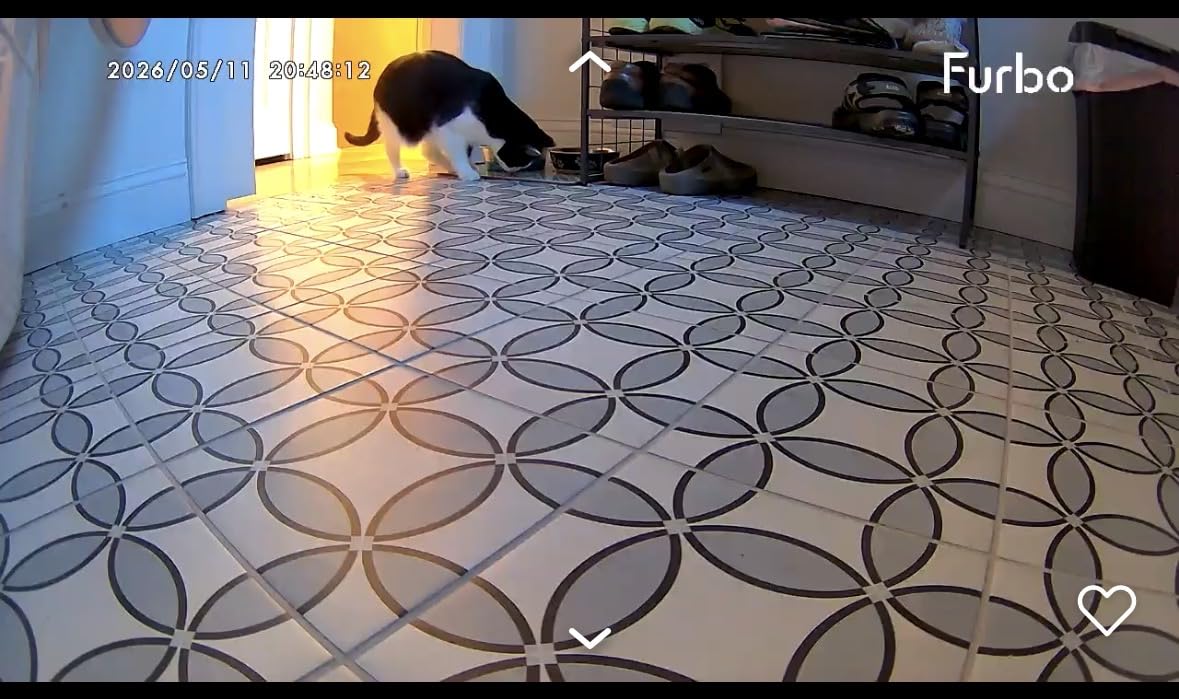 Furbo 360° Cat Camera [No Monthly Fee] customer photo 2