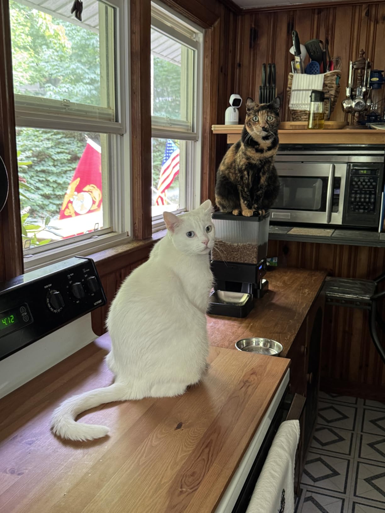 oneisall 5G WiFi Automatic Cat Feeder for 2 Cats, App Control, 20 Cups/5L | Timed Meals, Feed Now, Feeding Logs, Slow Feed, Precise Portions, 10s Voice Recorder, Family Sharing, Stainless Steel Bowls customer photo 2
