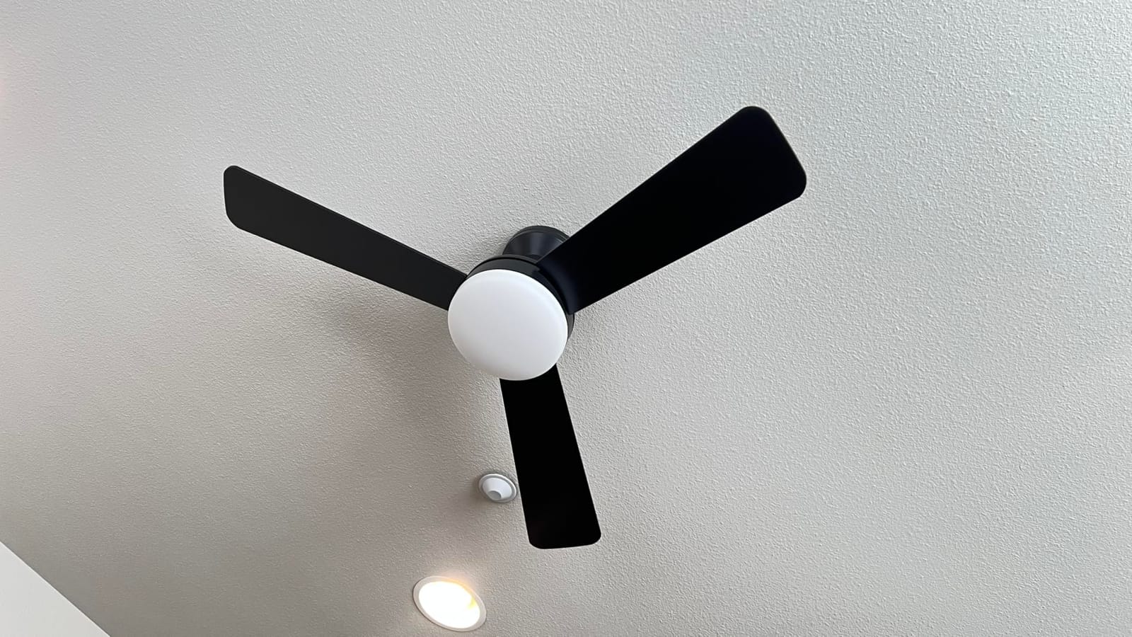 Amico 30 Inch Black Low Profile Ceiling Fans with Lights and Remote customer photo 2