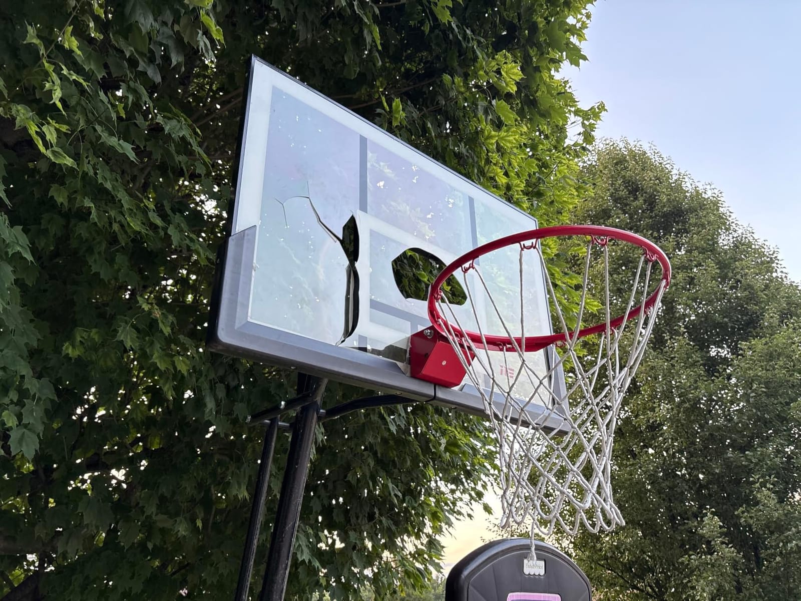 IE Sports Portable Basketball Hoop - Indoor and Outdoor Hoops Game Equipment for Backyard, Driveway, and Garage customer photo 1
