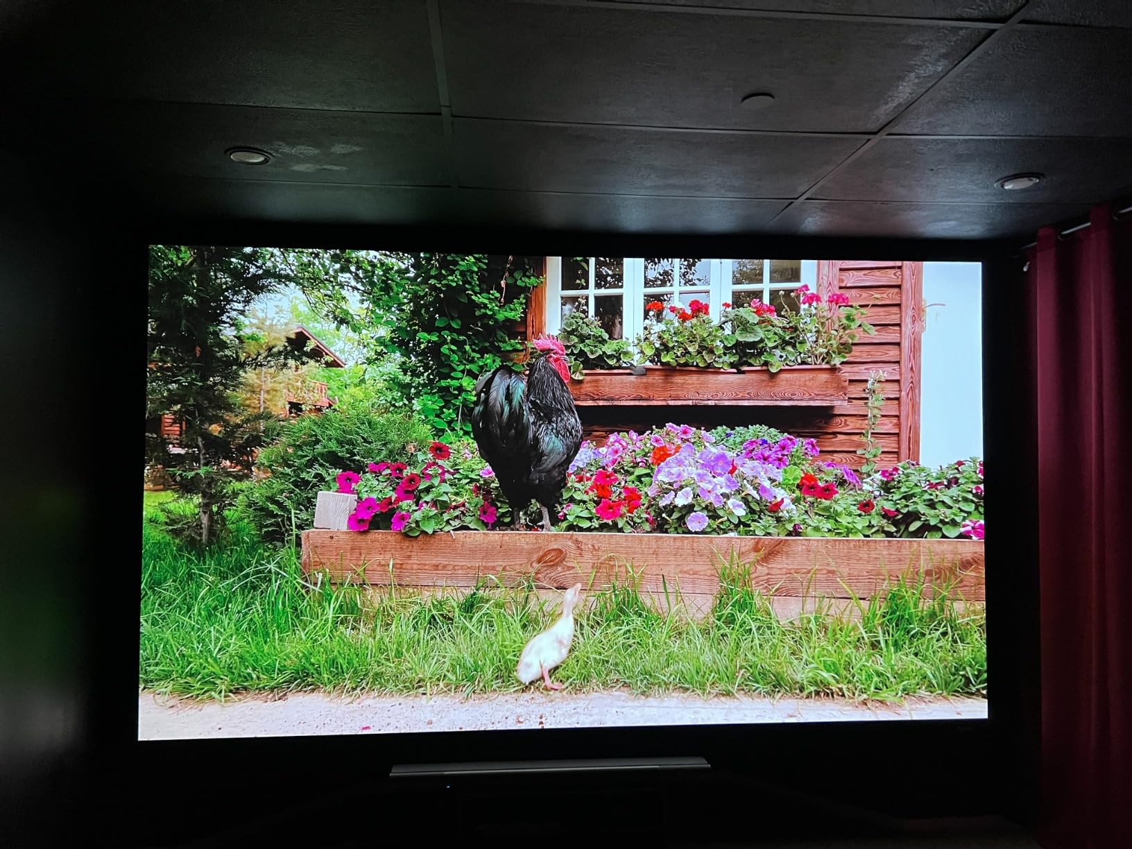 ViewSonic LX700-4K 4K UHD Laser Gaming Projector 3500 Lumens 240Hz Xbox customer photo 2