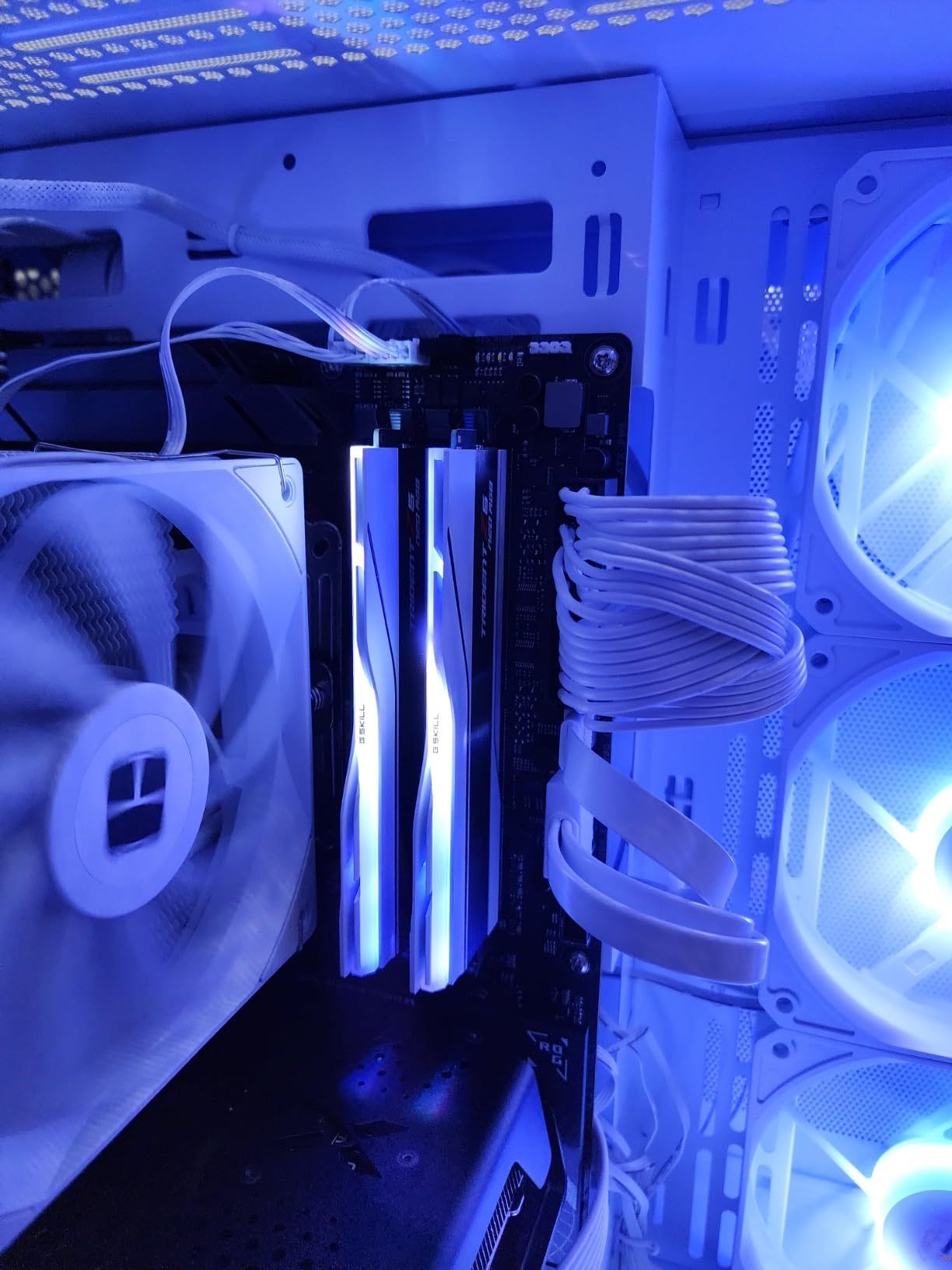 G.SKILL Trident Z5 Neo RGB Series DDR5 RAM (AMD EXPO) 64GB (2x32GB) Up to 6000MT/s CL30-36-36-96 1.40V Desktop Computer Memory U-DIMM - Matte White (F5-6000J3036G32GX2-TZ5NRW) customer photo 2
