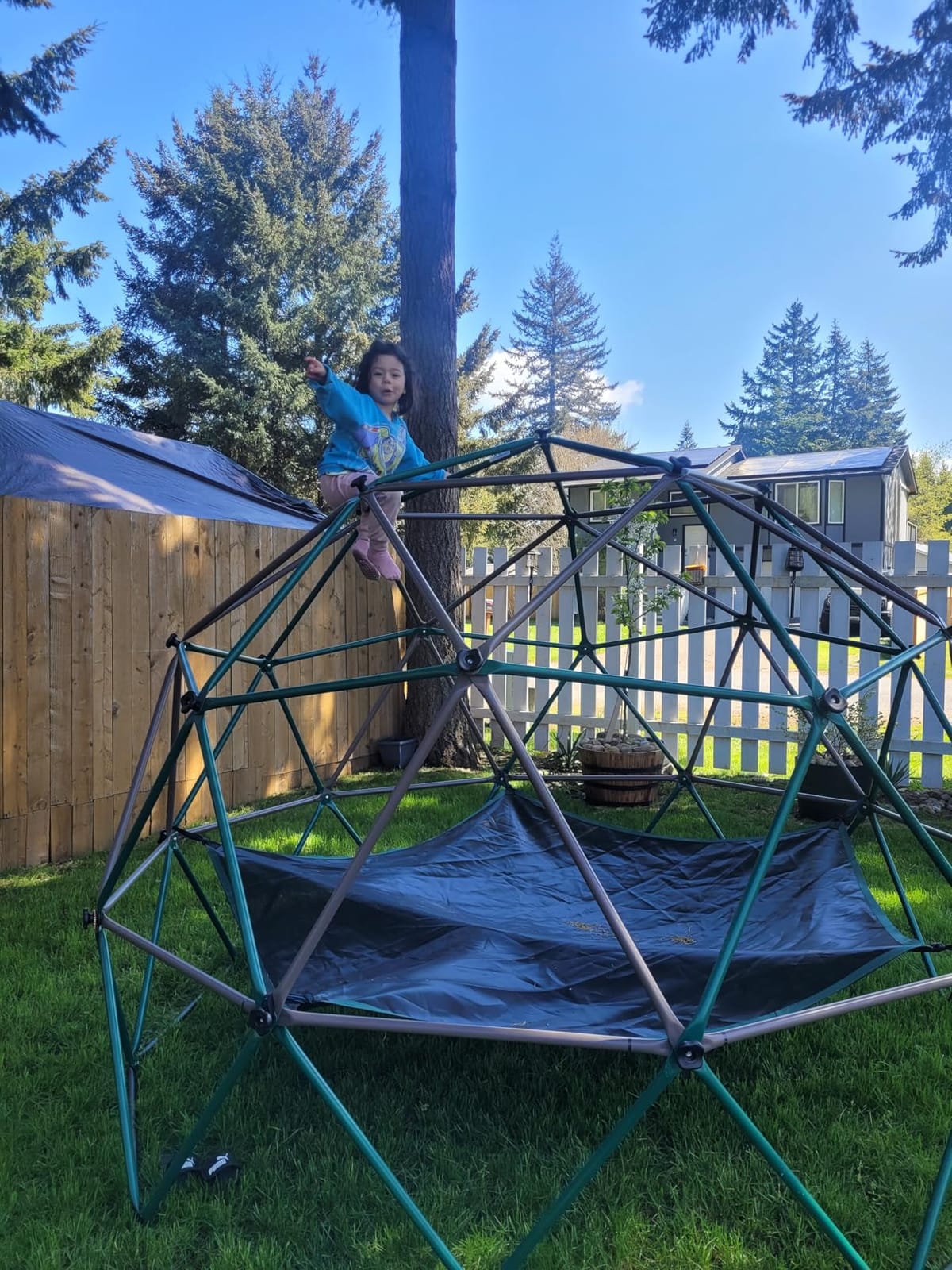 Hapfan 10 ft Climbing Dome Jungle Gym with Hammock for Kids Outdoor customer photo 1