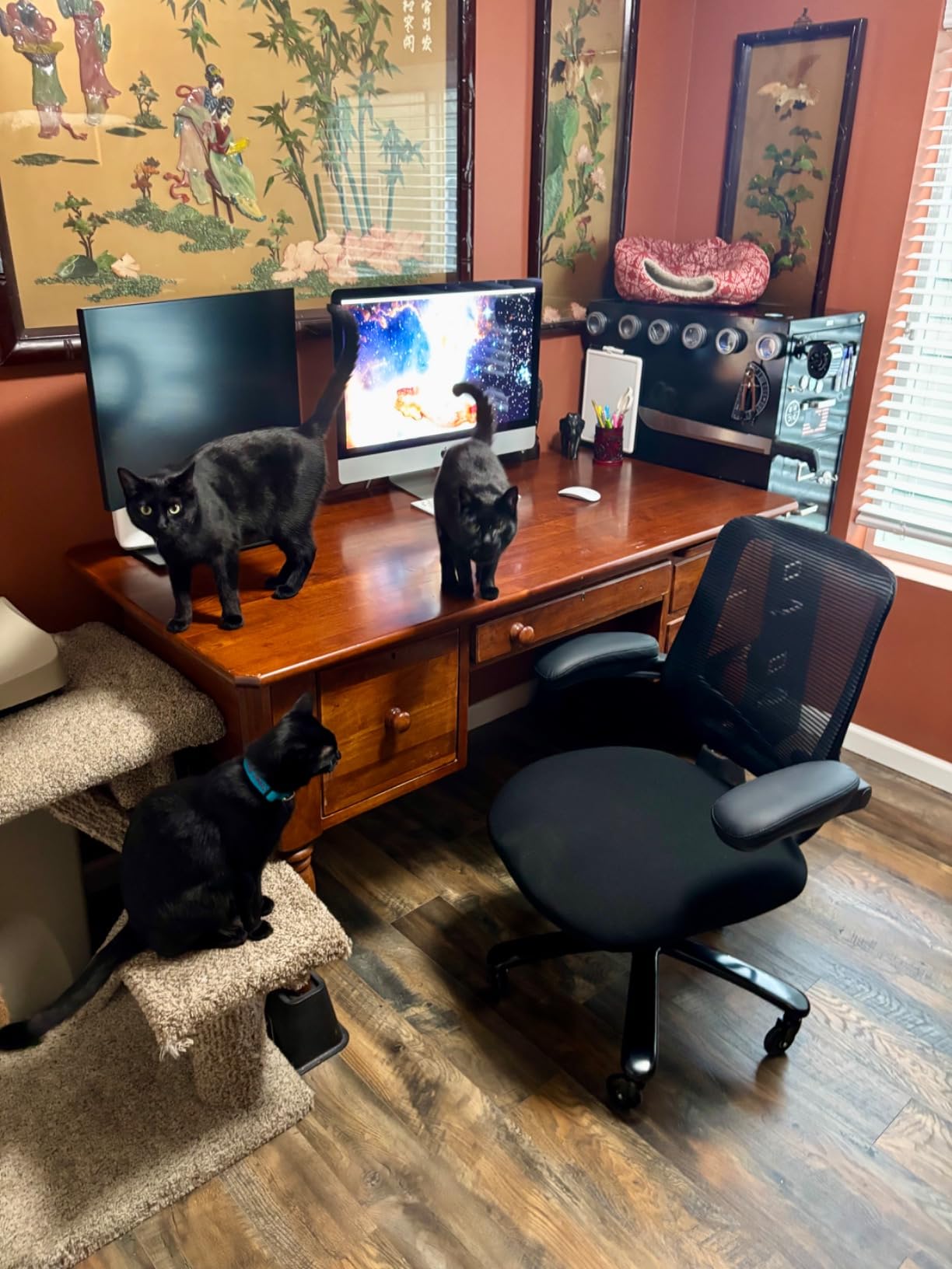 Kassipo Big and Tall Office Chair with Flip-Up Armrests, Black | 500LBS Capacity, Spring-Reinforced Memory Foam Seat & Heavy-Duty Base customer photo 1