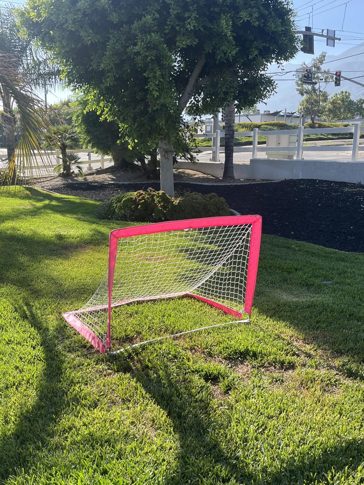 GoSports Portable Soccer Goals for Kids - 13 Color Options - Choose 4 x 3 ft or 6 x 4 ft - Team Tone Pop Up Nets for Backyard customer photo 2