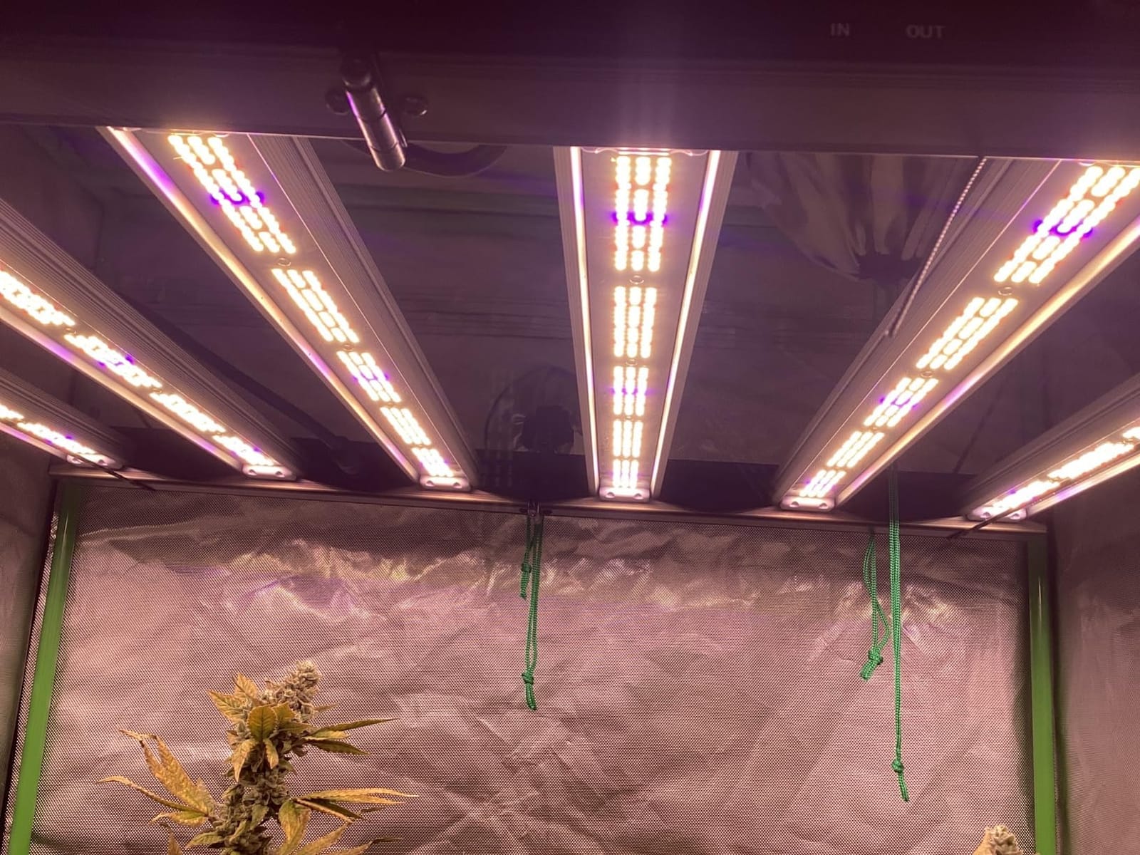 FARMLITE 360W LED Grow Lights for Indoor Plants Full Spectrum Growing Bar customer photo 1