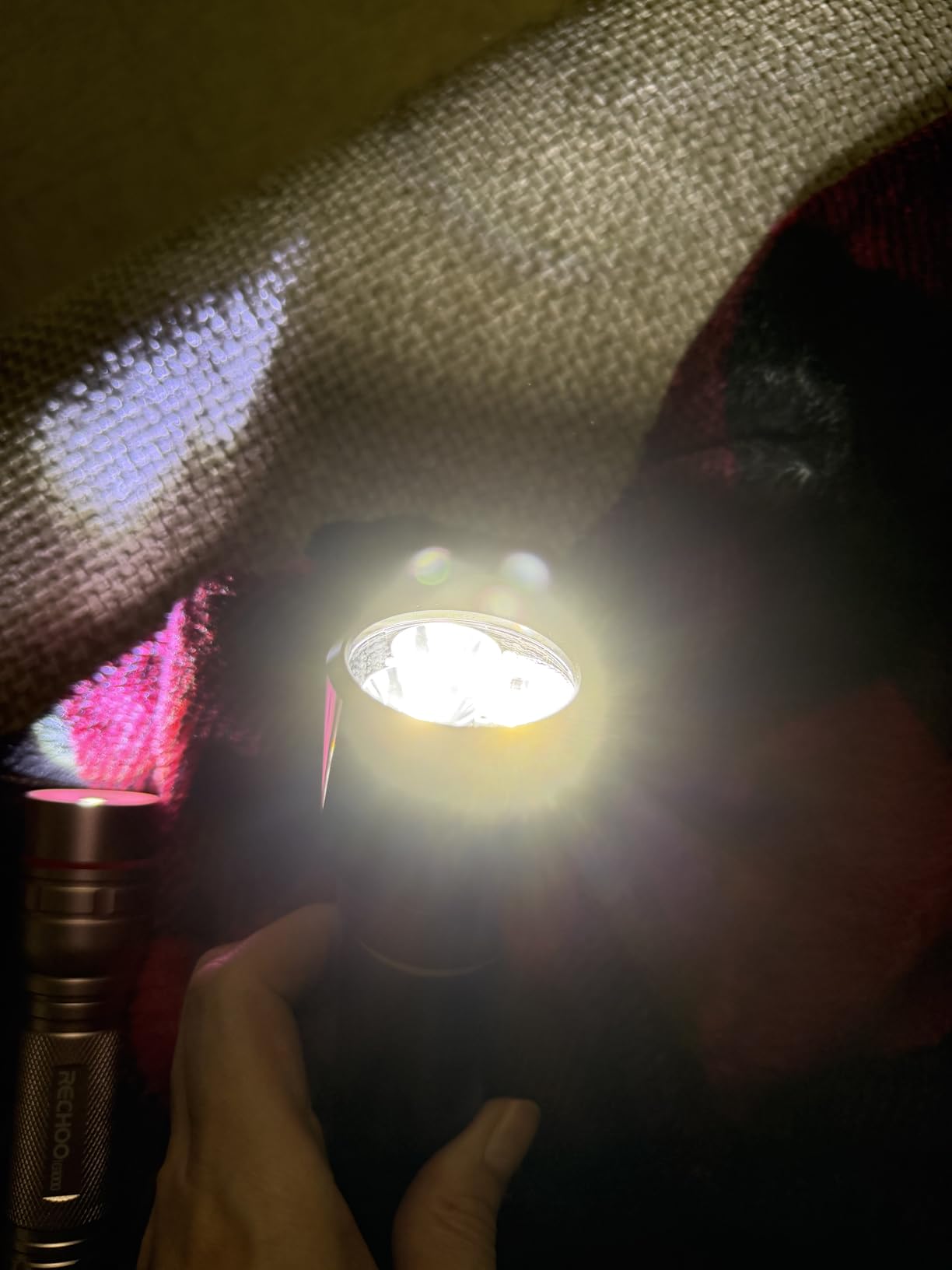 RECHOO Rechargeable Flashlights 1Pk,Bright Zoomable 3 Modes Red Flashlight customer photo 2