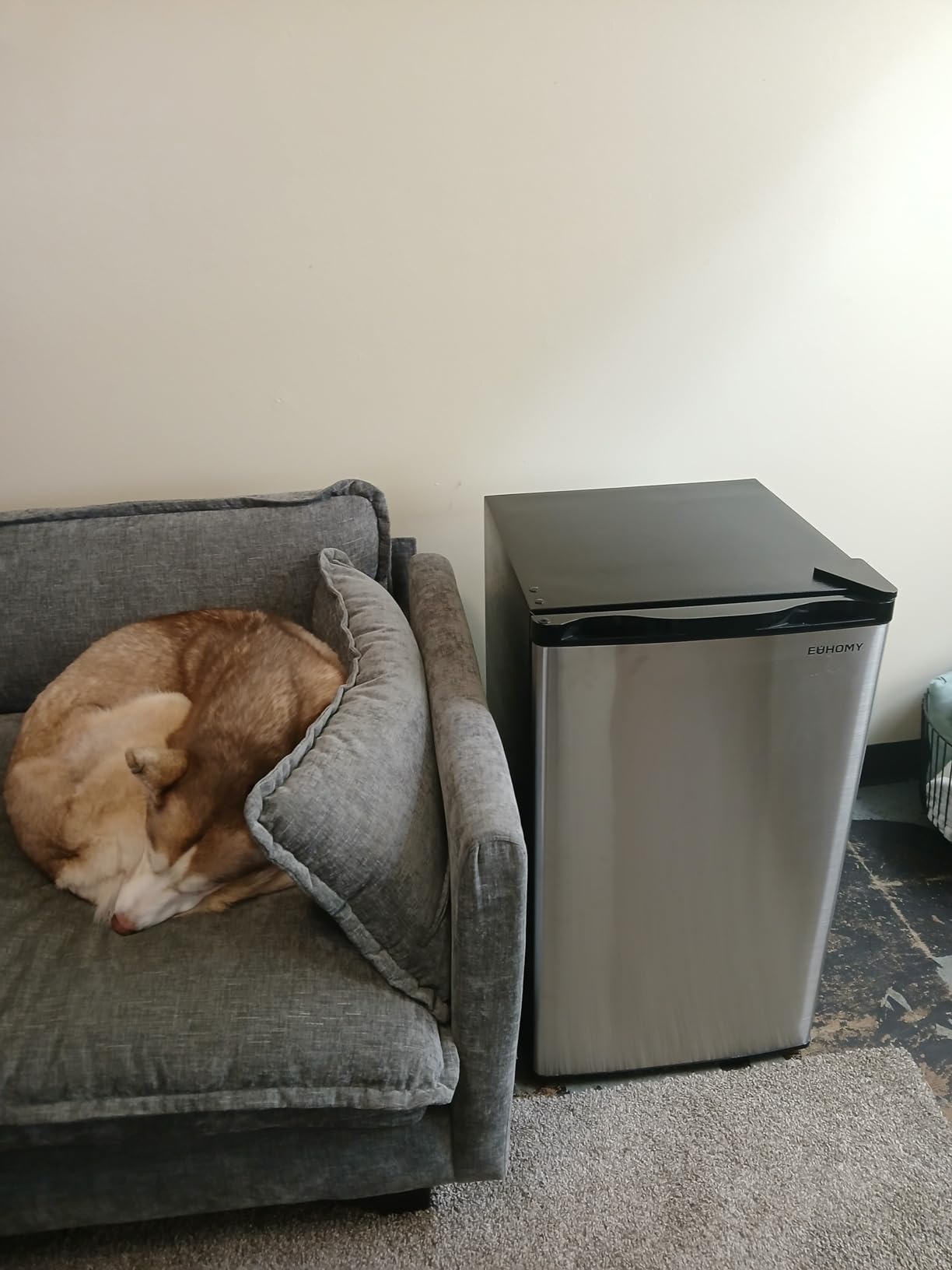 EUHOMY 3.2 Cu.Ft Mini Fridge with Freezer, Mini Refrigerator for Dorm | LED Light, 32°F to 50°F, Compressor Cooling, 38 dB, Adjustable Shelves, Reversible Door, Bedroom Use, Dorm Use customer photo 1