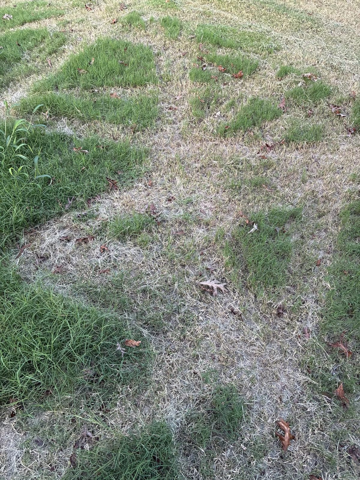 LawnMaster OcuMow Perimeter Wire Free Robot Lawn Mower Cuts Small Lawns 1000-2000 Square Feet with Optical Navigation, Obstacle Avoidance, Low Noise and No Go Functiont customer photo 2