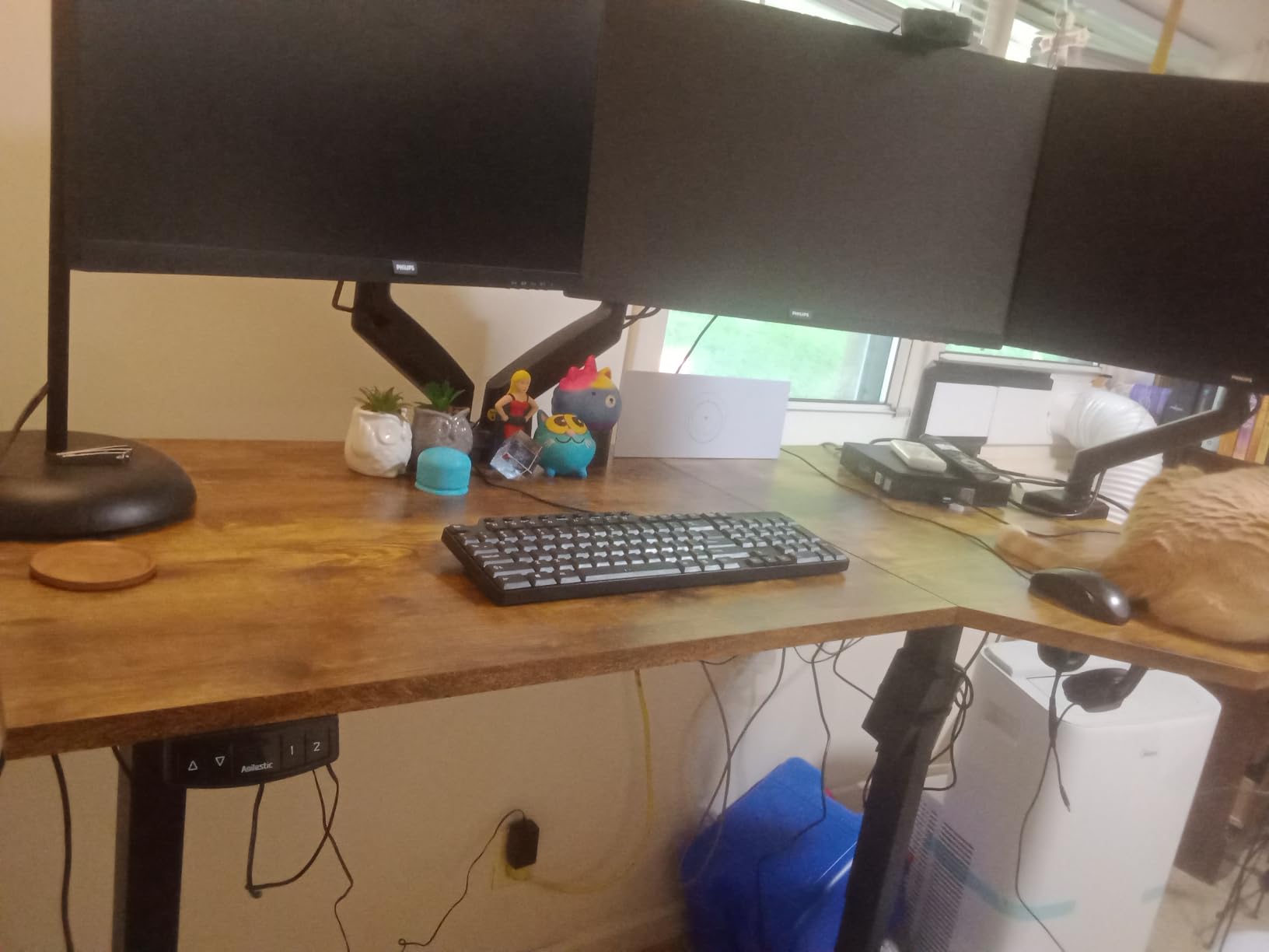 Agilestic 55 x 32 Inch Corner L Shaped Electric Standing Desk, Rustic Brown customer photo 2