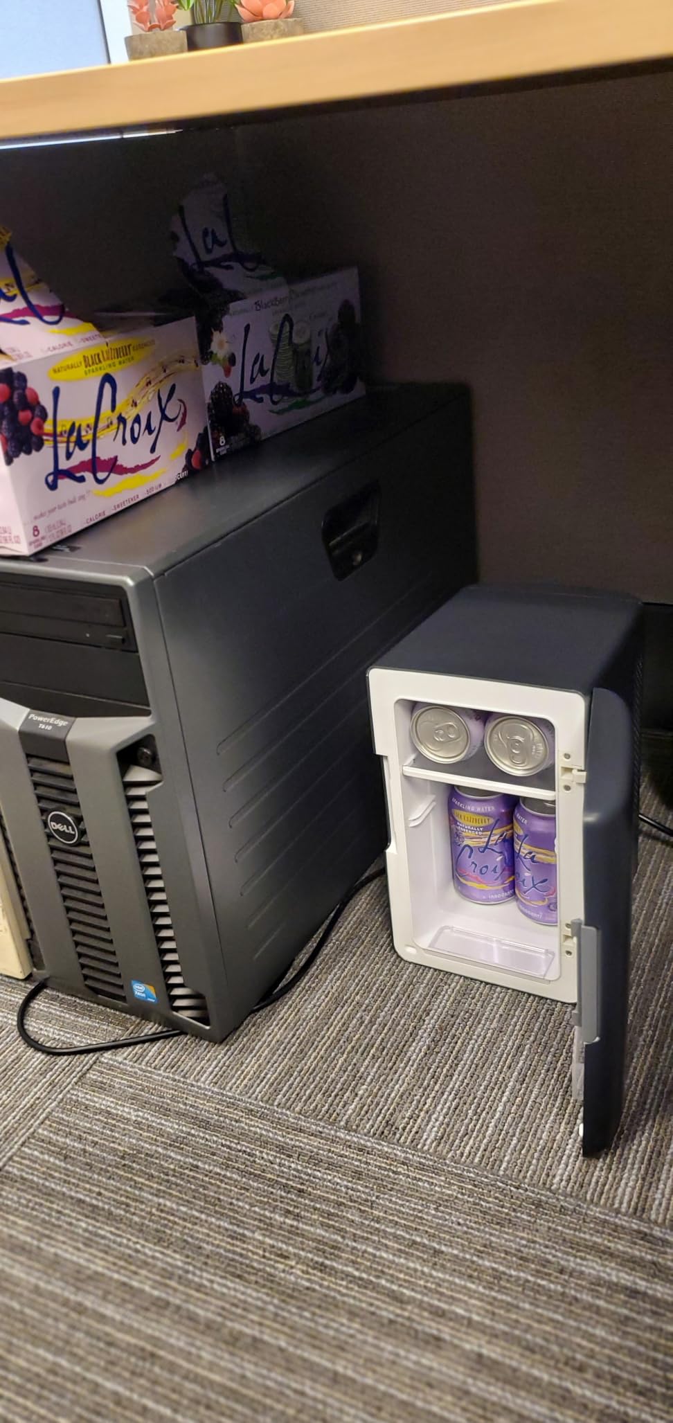 AstroAI 2.0 Gen 6L/8 Cans Mini Fridge, Cooler & Warmer, 110V AC/12V DC | Compact small refrigerator, energy efficient & quiet, portable for bedroom, car, office & dorms, for makeup skincare use customer photo 2