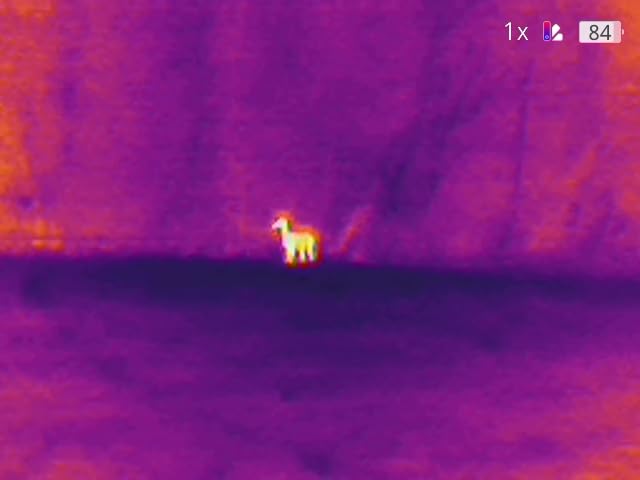 TOPDON TS004 Thermal Imaging Monocular, 13mm 50Hz Night Vision customer photo 1