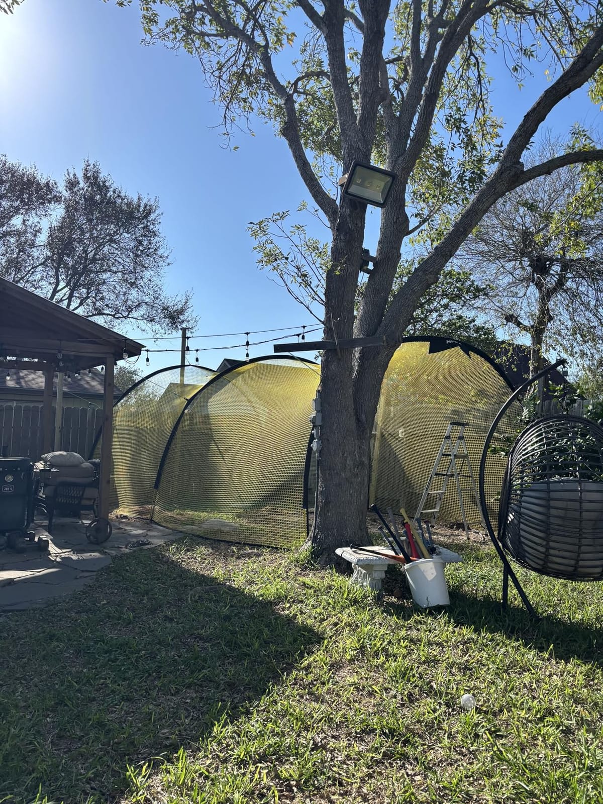 Apex Sports Portable Batting Cage 22x12x8 Ft, Baseball & Softball Net Cage customer photo 1