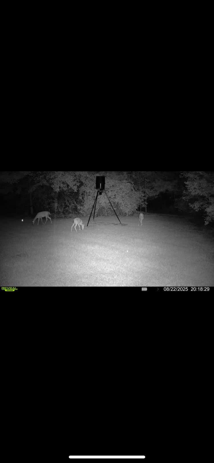 TACTACAM Reveal X 3.0 Cellular Trail Camera, Night Vision, Waterproof customer photo 2