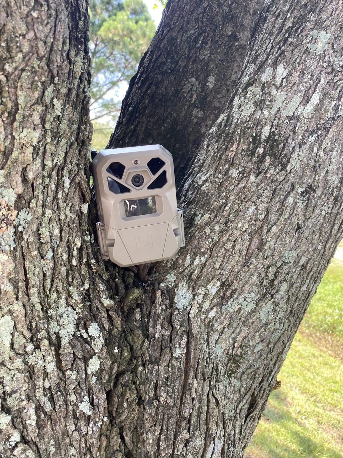 Moultrie Edge 2 Pro Cellular Trail Camera - Auto Connect Nationwide 4G LTE - On Demand 40MP Photo - 1440P Video with HD Audio - Ai False Trigger Elimination - 100 Ft Detection Range - No-Glow Flash customer photo 2