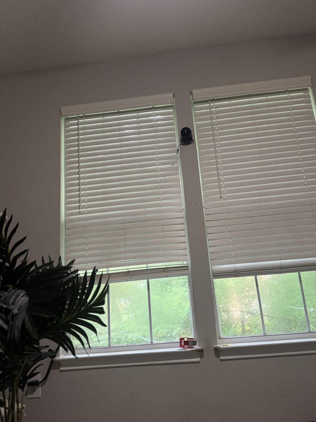 Tapo 1080p Pan/Tilt Security Camera for Baby Monitor, Pet Camera, C201 customer photo 2