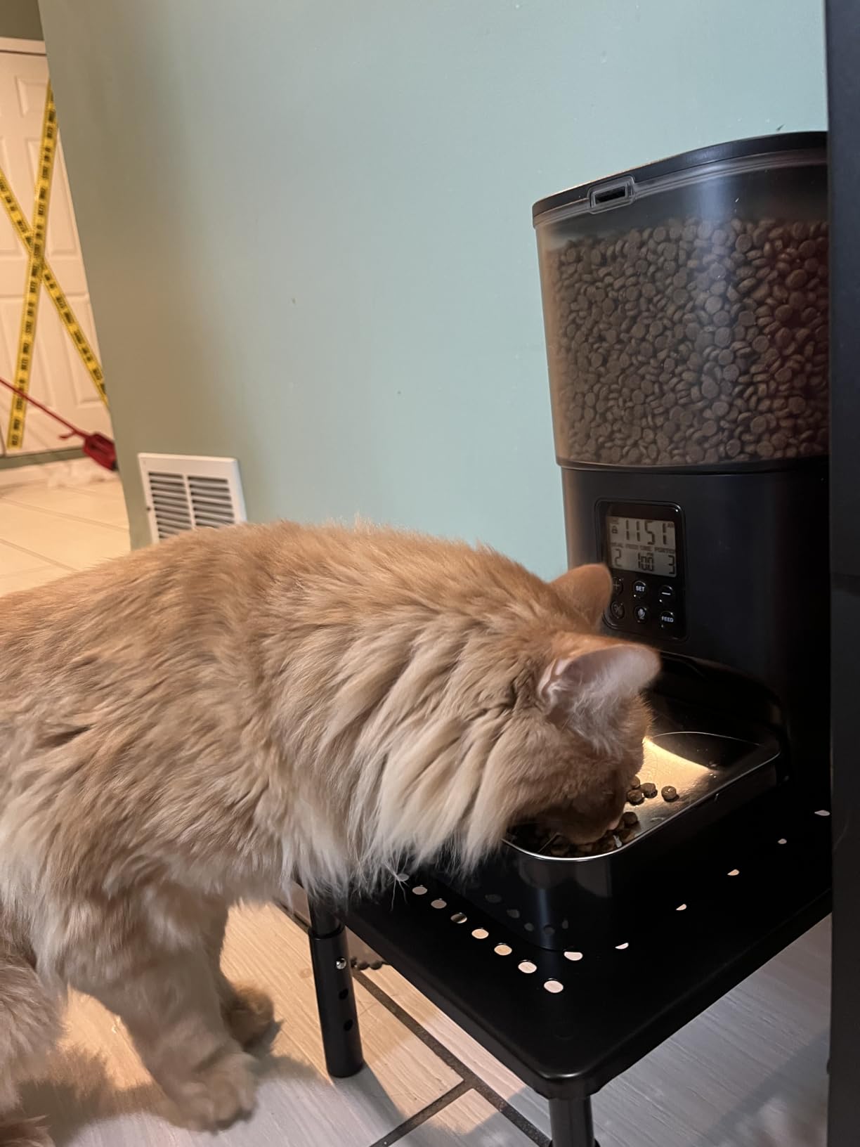 ANDOLL HOME Automatic Cat Feeder, 4L Cat Food Dispenser with 10s Voice Recorder, Pet Feeder up to 8 Meals per Day, Timed Dog Feeder with Dry Food Sealed Ring customer photo 1