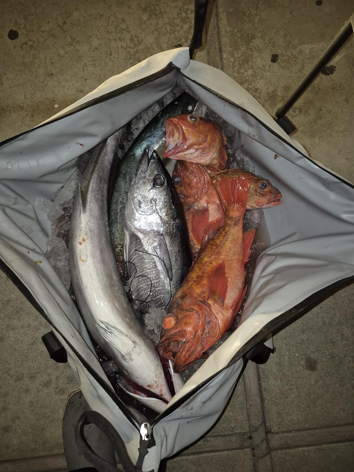 48'' Fish Kill Bag Game Bag Leak Proof Insulated for Offshore Inshore Fishing Designed in USA (48X24) customer photo 1