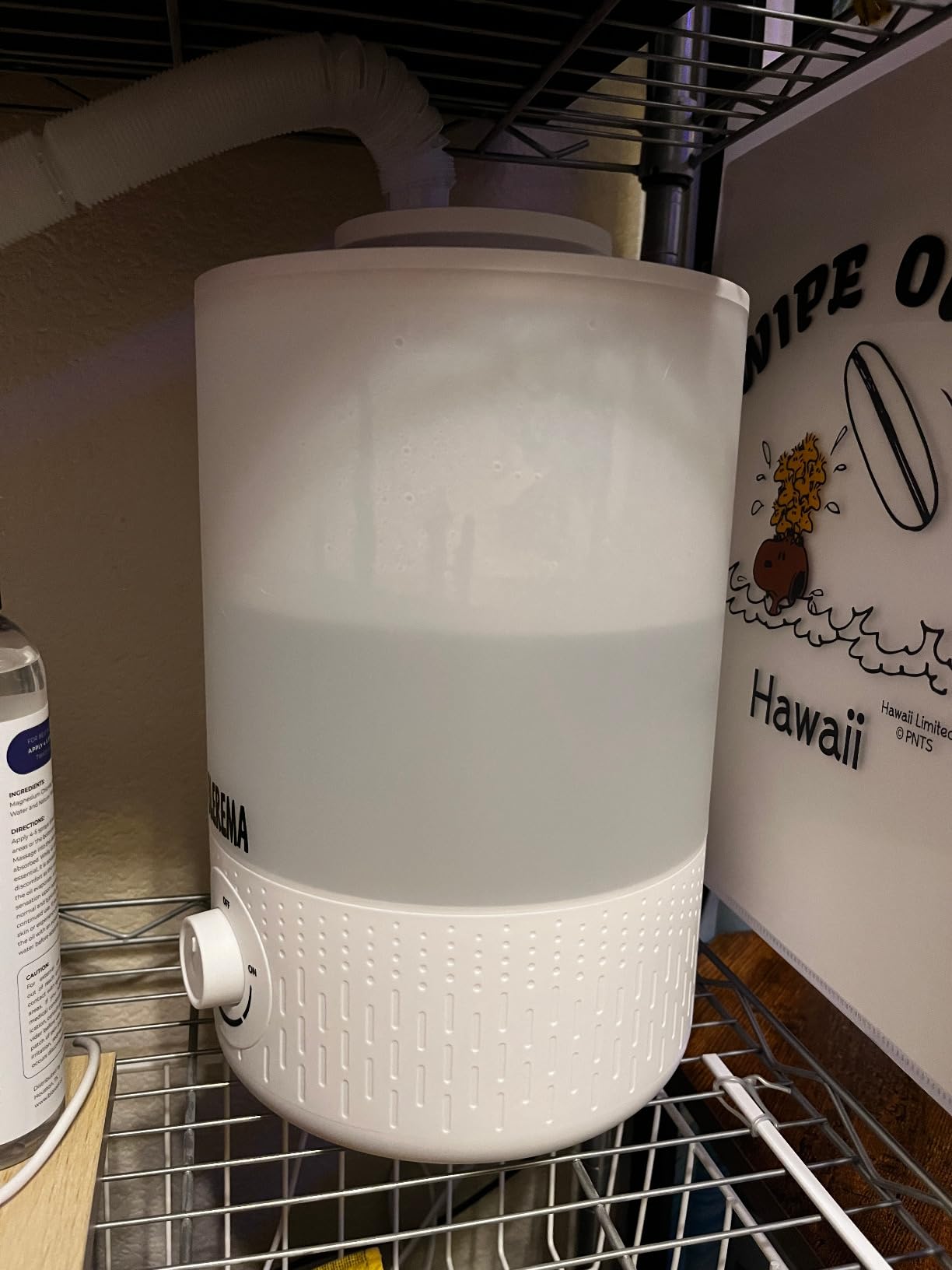 No Leak Reptile Fogger Humidifiers Mister for Reptile Tank, 3L Top-Fill Terrarium Humidifier with Hose - Ideal for Snakes, Tortoises, Chameleons, Ball Python and Hermit Crabs (Single/Dual Fog Output) customer photo 1