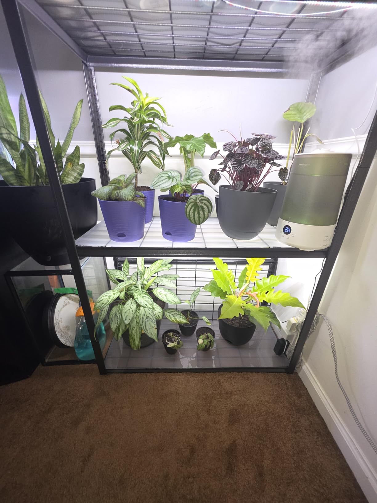 SDOVUERC 16'' 6 Bars Grow Light Strips for Indoor Shelves Plants Growing. customer photo 1