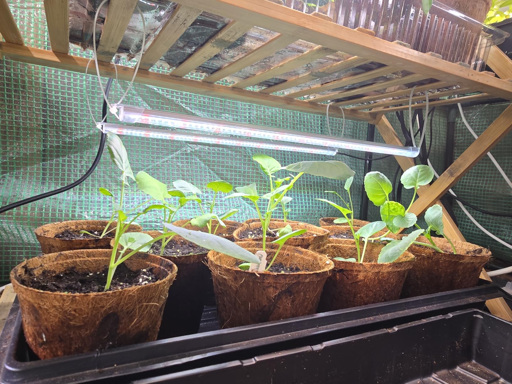 SDOVUERC 16'' 6 Bars Grow Light Strips for Indoor Shelves Plants Growing. customer photo 2