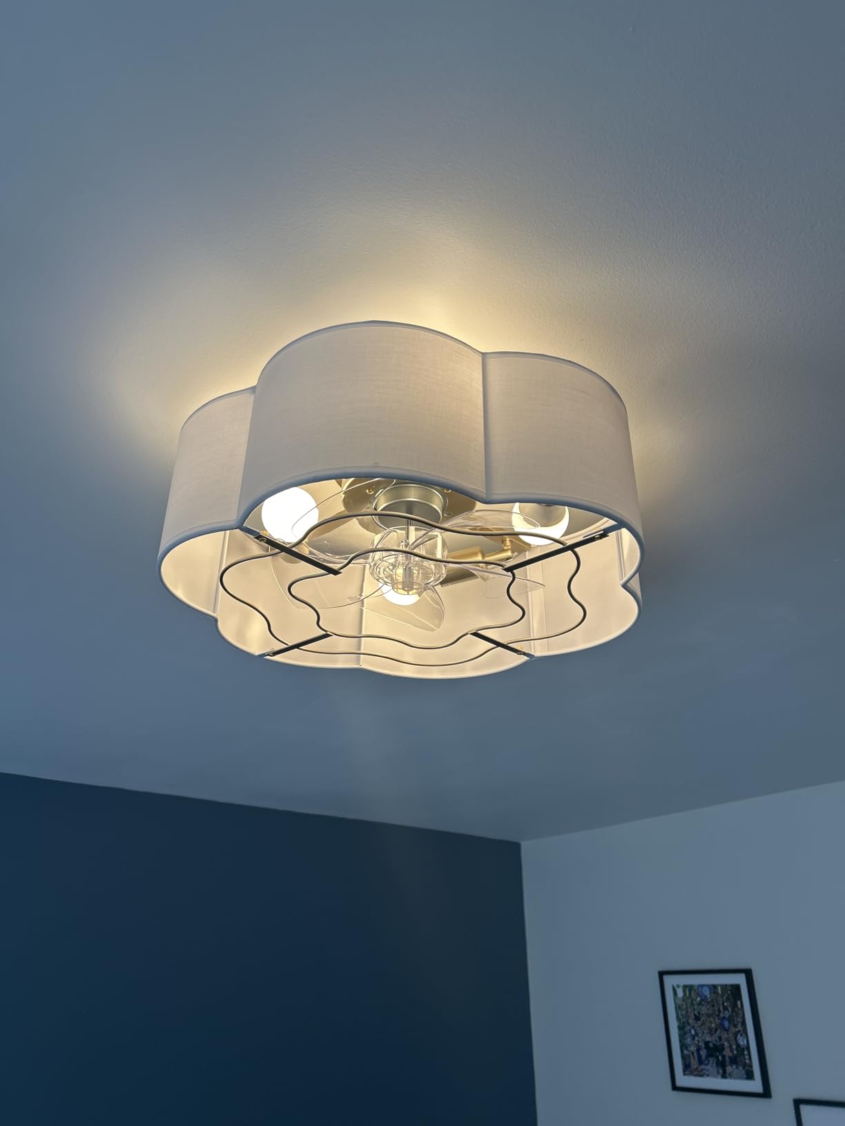 Caged Ceiling Fan with Lights, Flush Mount 20
