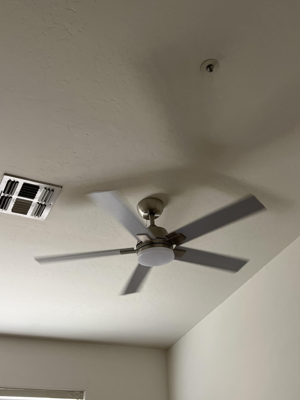 Rayqueen 42 Inch Black Ceiling Fans with Lights and Remote,Includes Downrod customer photo 2