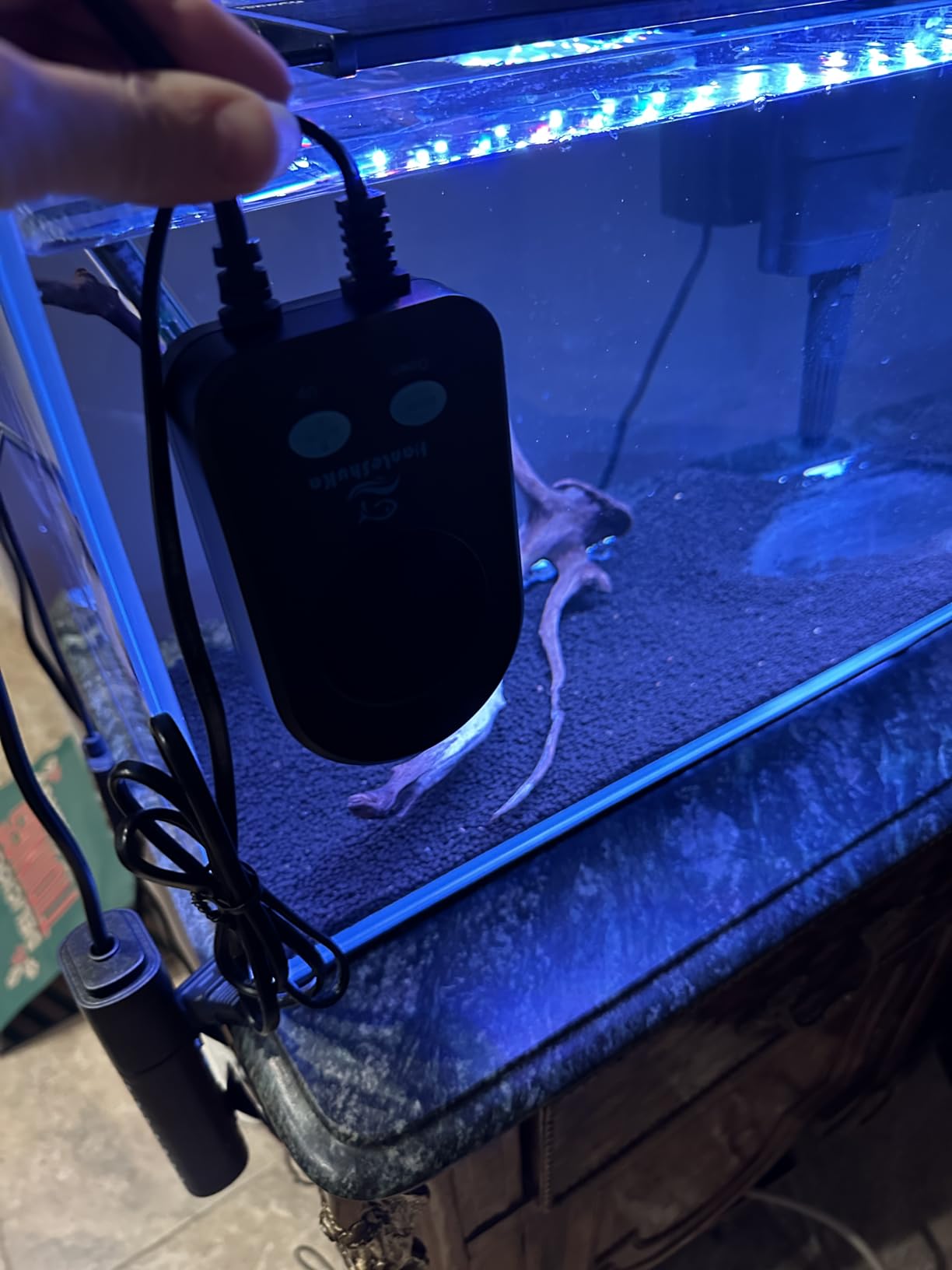 200W Aquarium Heater for 20-40 Gallon with Auto Shut-Off When Leaving Water—Submersible Fish Tank Heater, Dry-Burn & Overheat Protection, Explosion-Proof, Freshwater Saltwater Turtle Tank customer photo 2