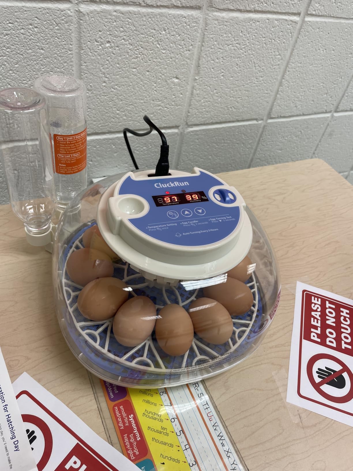 12 Egg Incubators for Hatching Eggs, Auto Turning, Temp & Humidity Control customer photo 2