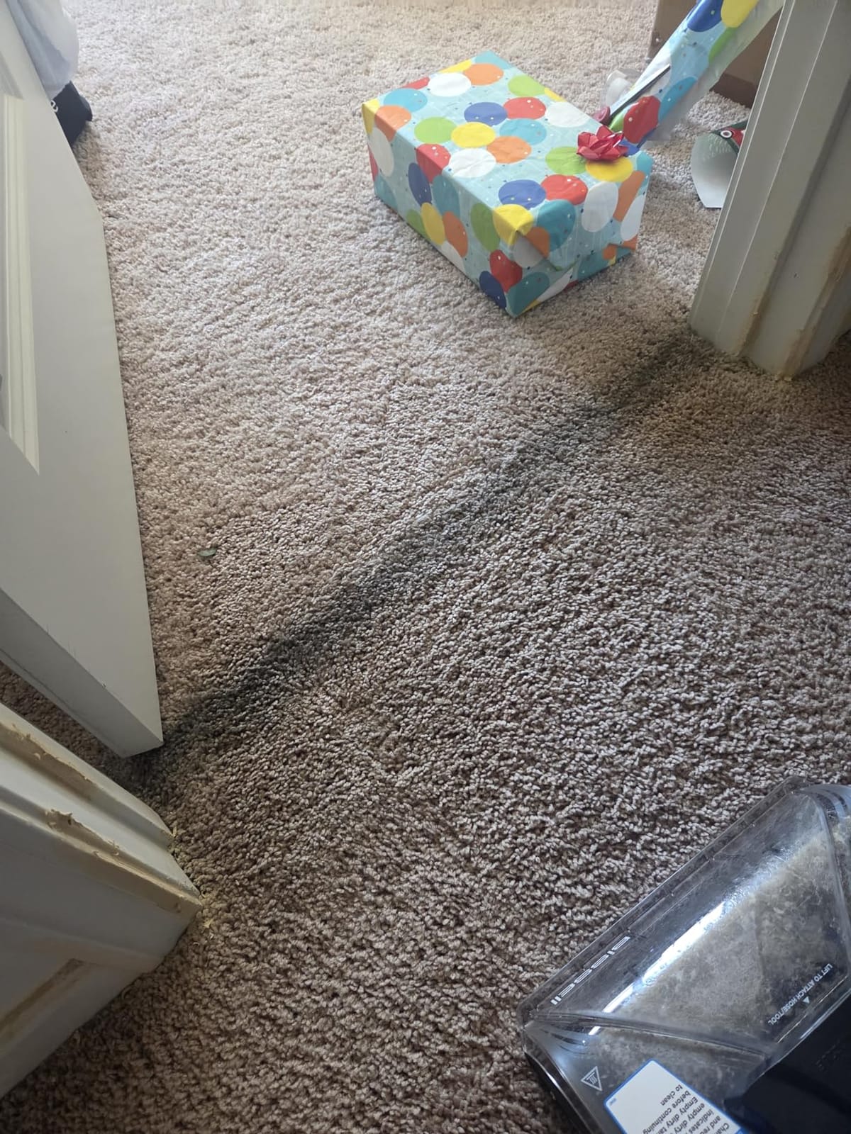 BISSELL Revolution HydroSteam Carpet Cleaner, 4123 customer photo 2