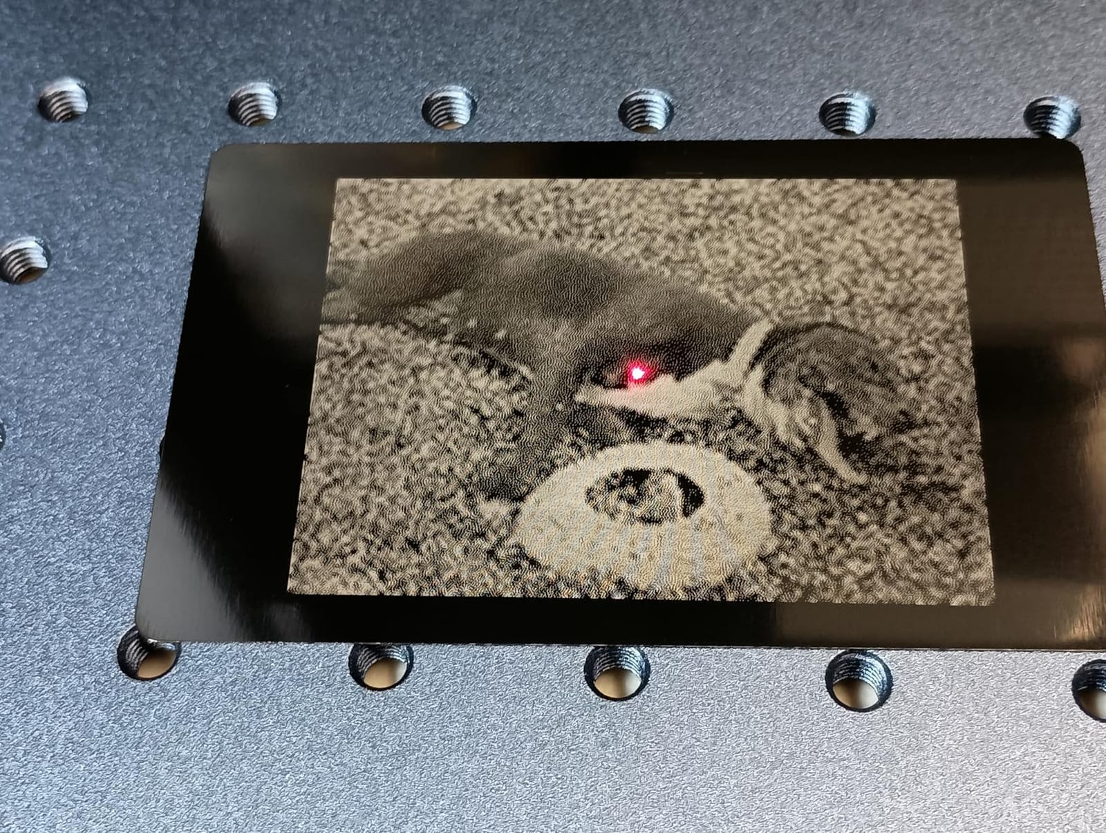 GWEIKE G2 Max 50W Fiber Laser Engraver with 3D & Deep Engraving customer photo 1