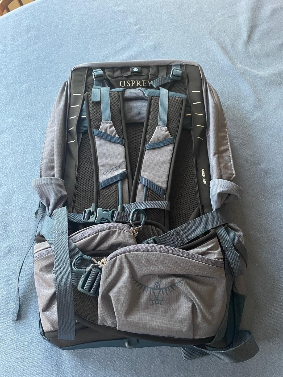 Osprey Tempest 22L Women's Lightweight Hiking Backpack, Green OS customer photo 2