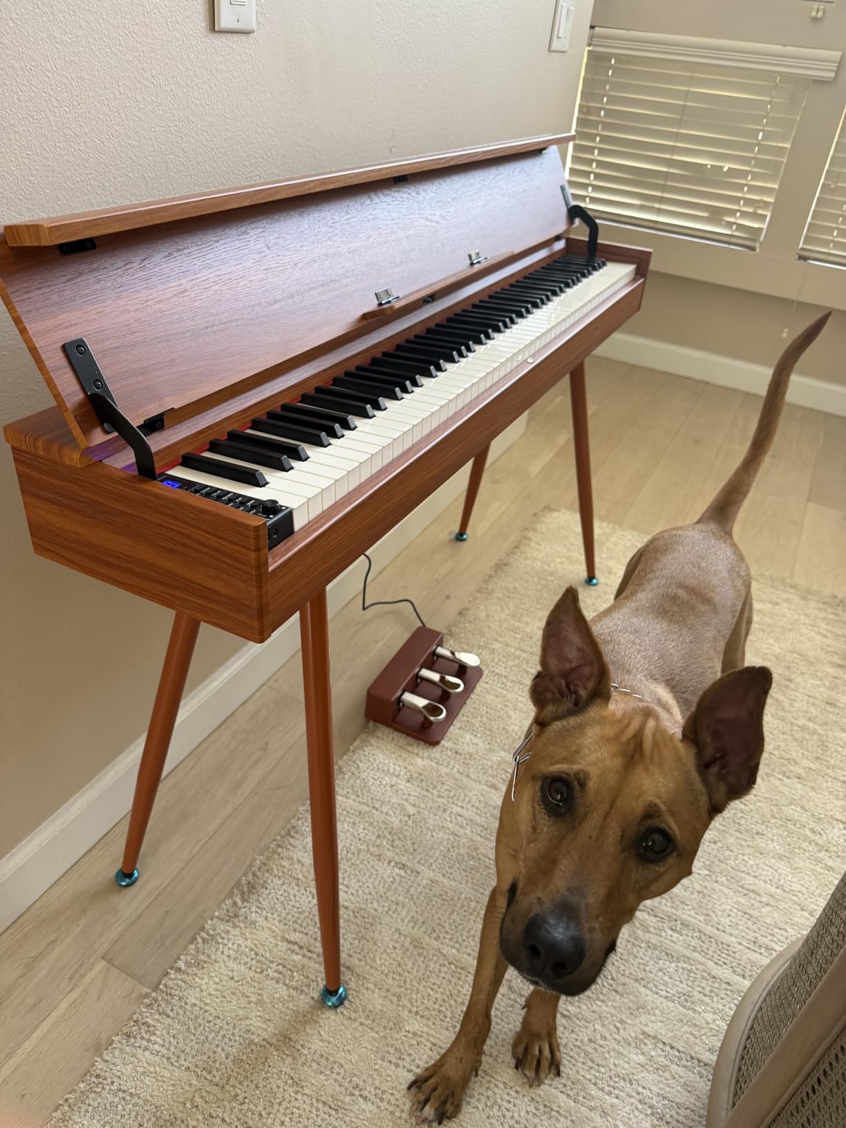 Digital Piano 88 Key Weighted Keyboard Full-Size Desk Electric Piano customer photo 2