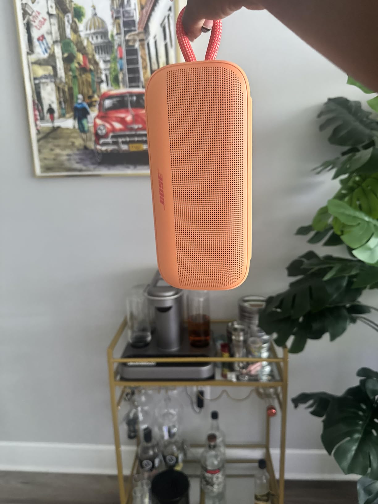 Bose SoundLink Plus Portable Bluetooth Speaker, Wireless Outdoor Speaker, Up to 20 Hours Battery Life, Waterproof and Dustproof customer photo 1