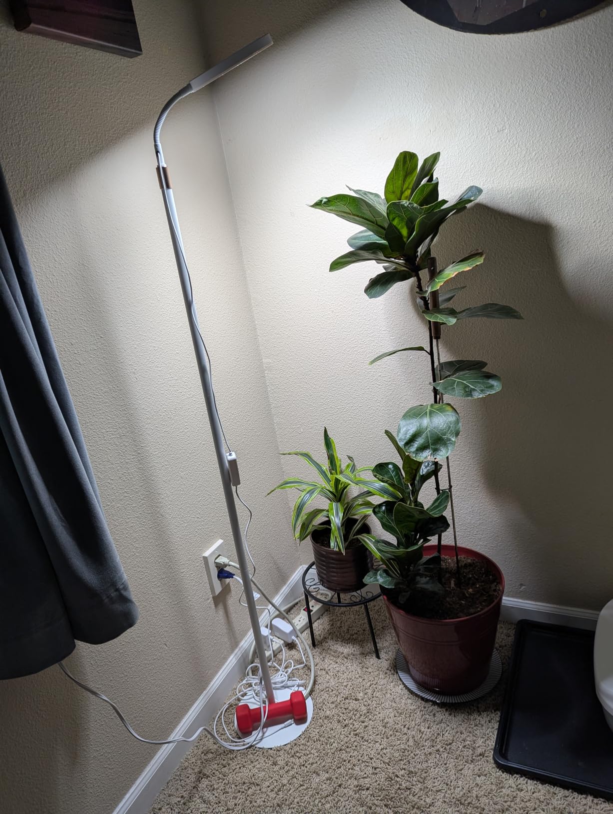 LBW Dual Head Grow Light with Stand for Indoor Plants, Full Spectrum Grow Light for Multiple Tall Plants, Adjustable Height up to 68
