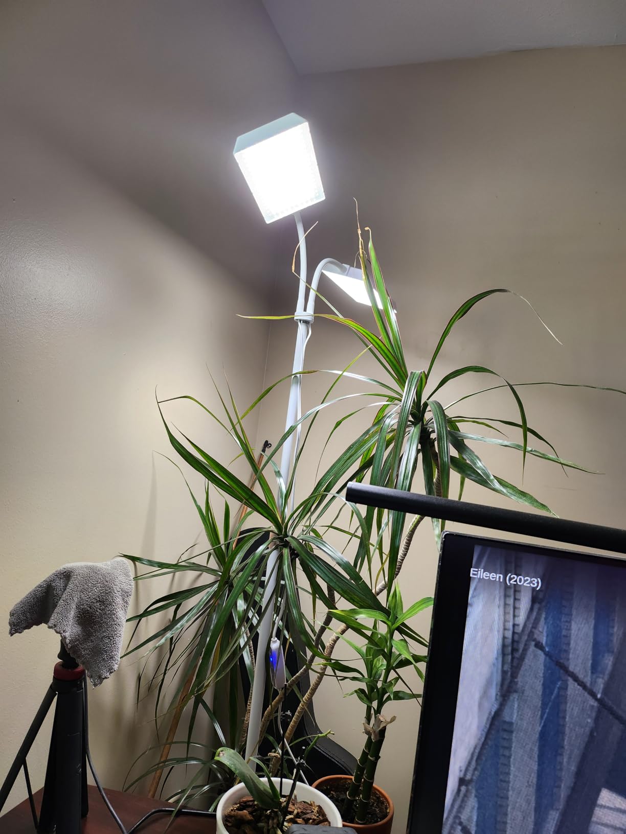 Wiaxulay Floor Plant Lights for Indoor Growing, Full Spectrum Grow Light customer photo 1
