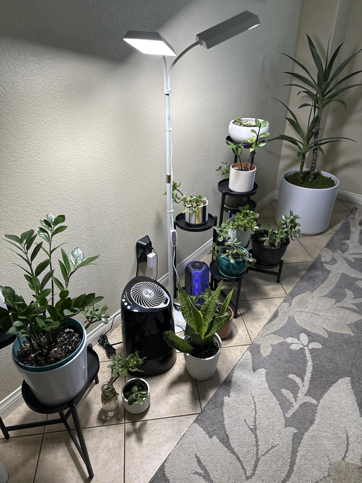 Wiaxulay Floor Plant Lights for Indoor Growing, Full Spectrum Grow Light customer photo 2