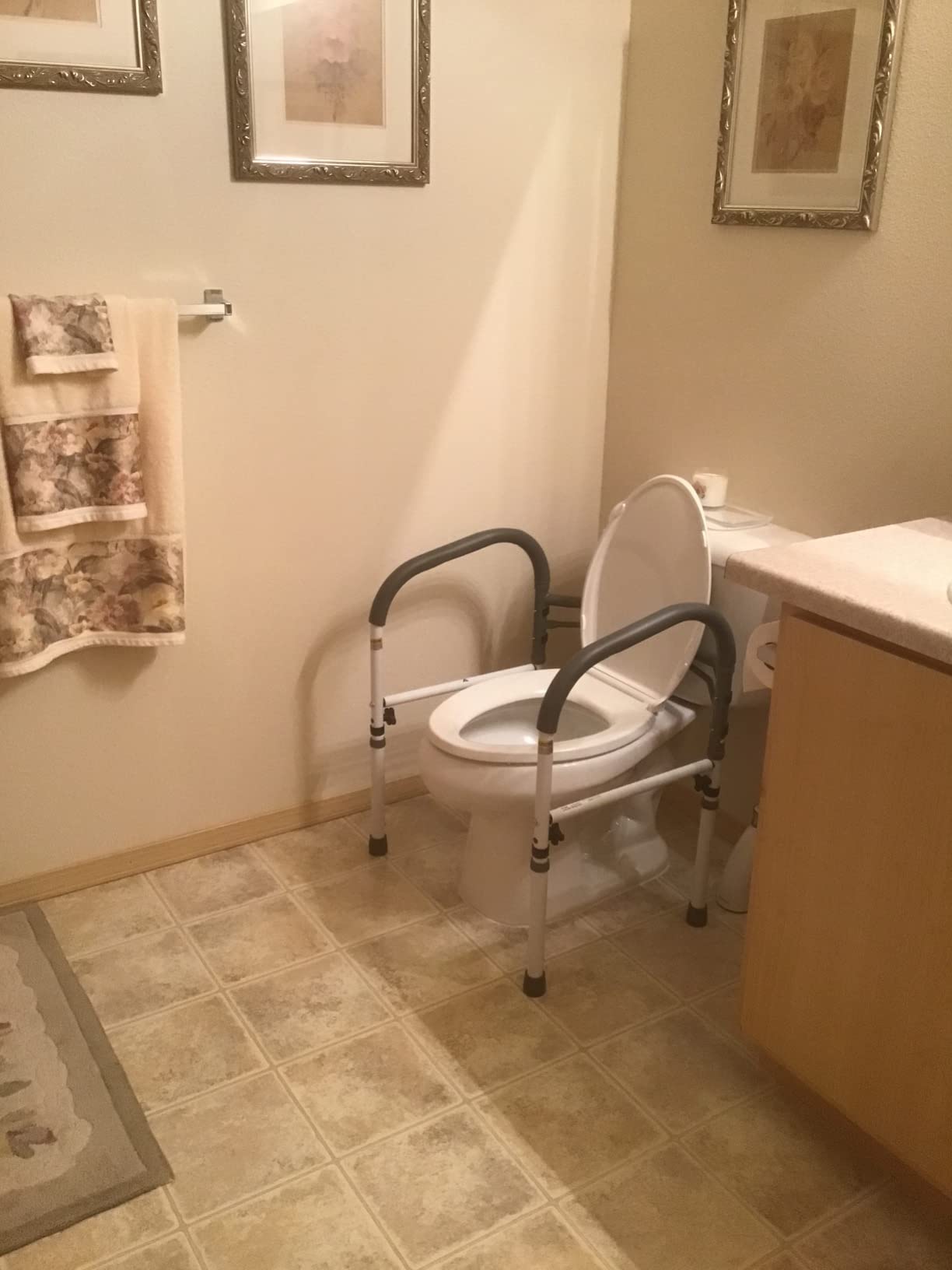 Vaunn Medical Adjustable Toilet Safety Rail for Seniors, Foldable Toilet Safety Frame for Elderly Adults, Bathroom Grab Bar Handle, Toilet Handle for Elderly & Disabled, Free-Standing (Gray) customer photo 1