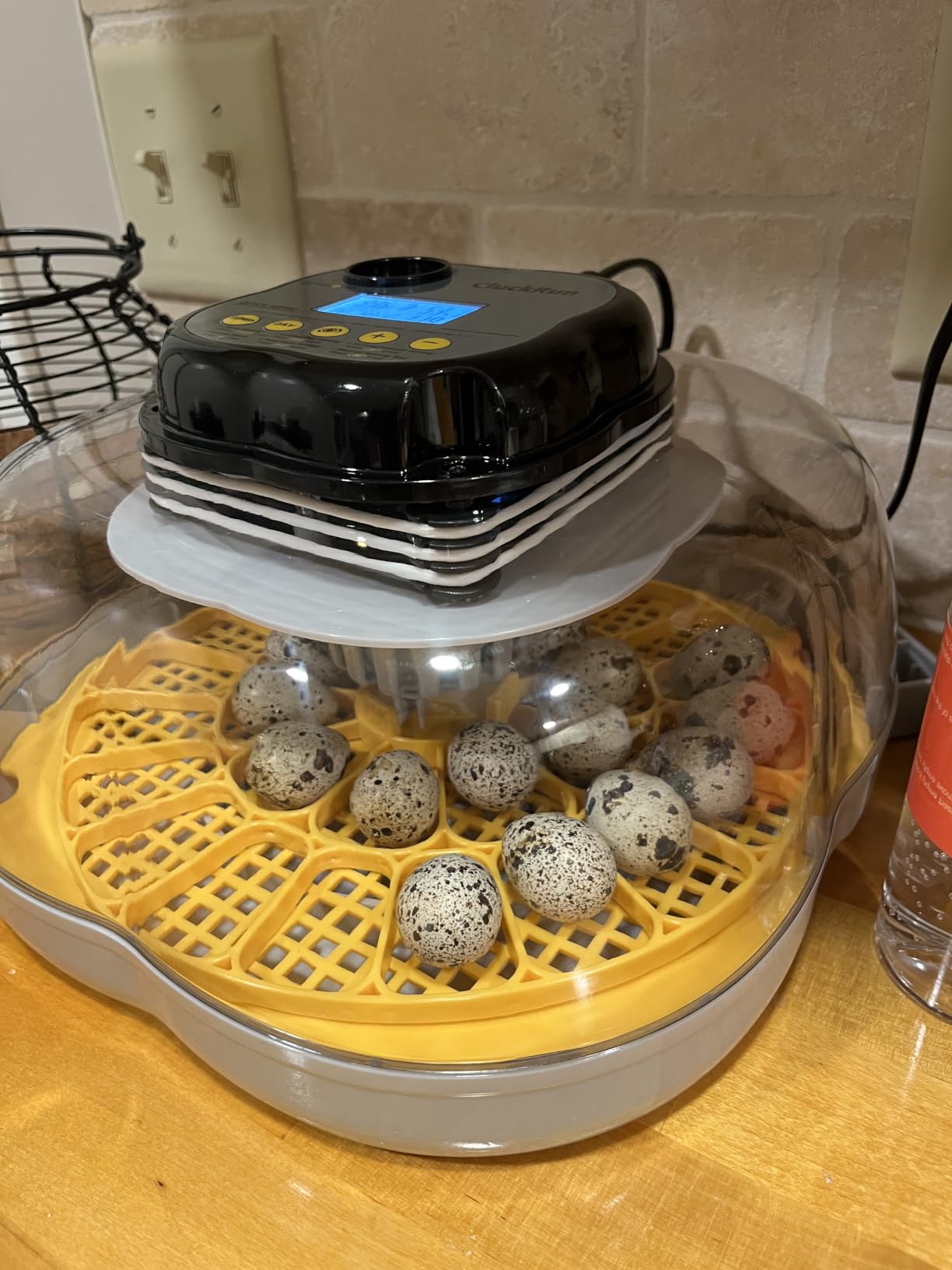 25 Egg Incubators for Hatching Eggs, Auto Turning, Temp & Humidity Control customer photo 2