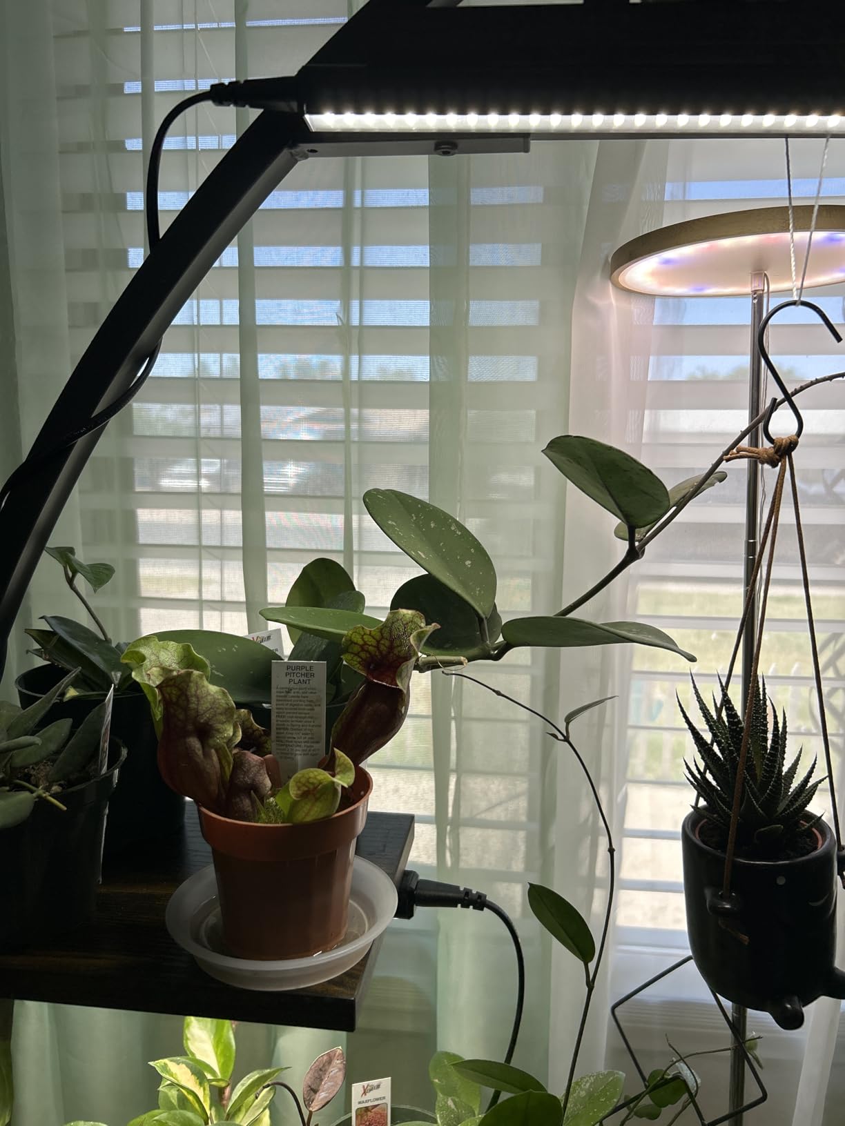 VIVOSUN T5 Grow Lights for Indoor Plants, 5000K Full Spectrum, 1FT customer photo 2