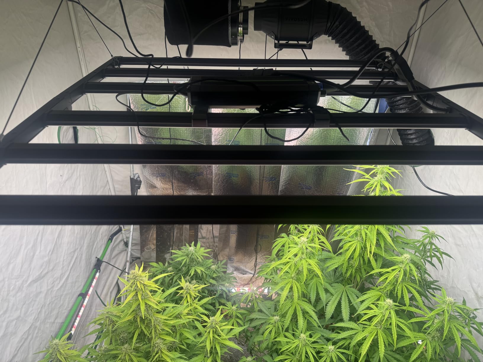 VIVOSUN LumaLight 750W LED Grow Light, Full Spectrum Indoor Plant Light customer photo 1